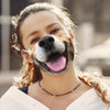 DOG FACE Fashion Design Printed Reusable Face Mask.