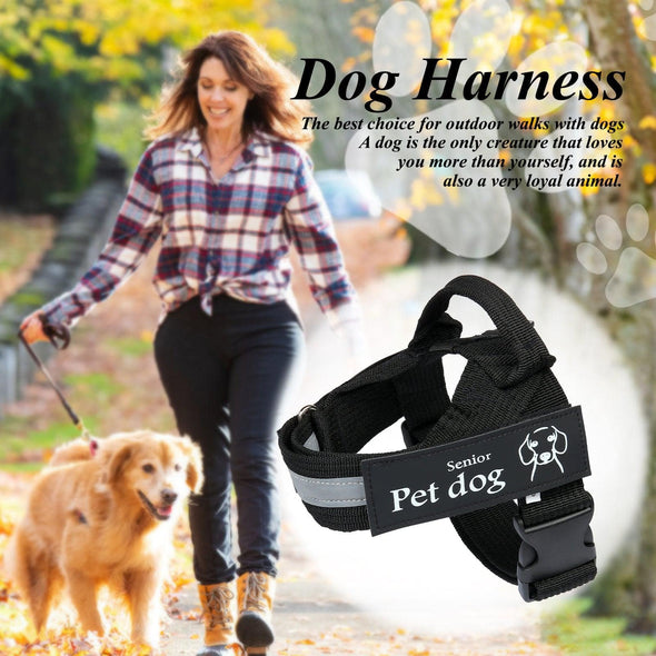 Adjustable Pet Dog Harness – Durable Nylon Vest for Dogs (Multiple Sizes & Colors)