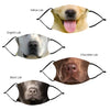 LABRADOR DOG FACE Fashion Design Printed Reusable Face Mask collection (Includes 2 FREE filters)