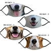 DOG FACE Fashion Design Printed Reusable Face Mask collection (Includes 2 FREE filters)