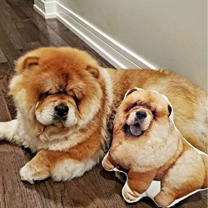 Pet Pillow Looks Like Your Pet | Custom 3D Photo Cutout Pillow