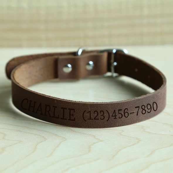 Personalized Genuine Leather Pet ID Collar.