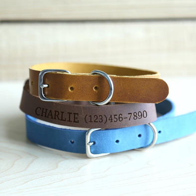 Personalized Genuine Leather Pet ID Collar.