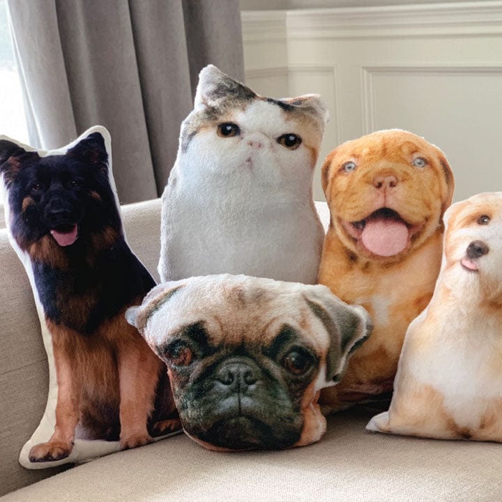 Custom Pillow Turn Your Dog Into A Pillow Personalized 3D Throw